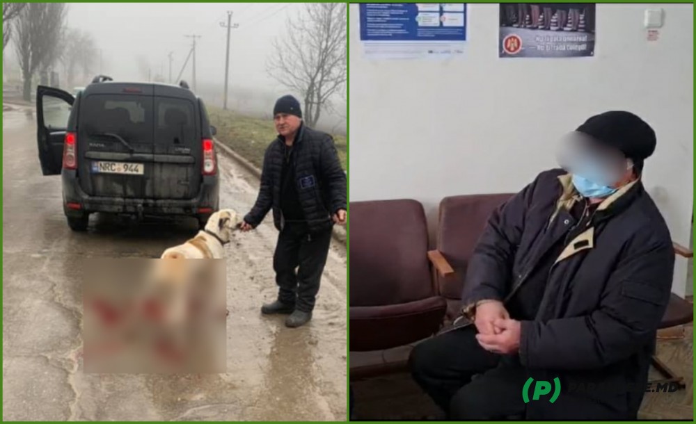 Bărbatul care a târât pe asfalt un câine legat de mașină, identificat. Ce a declarat polițiștilor